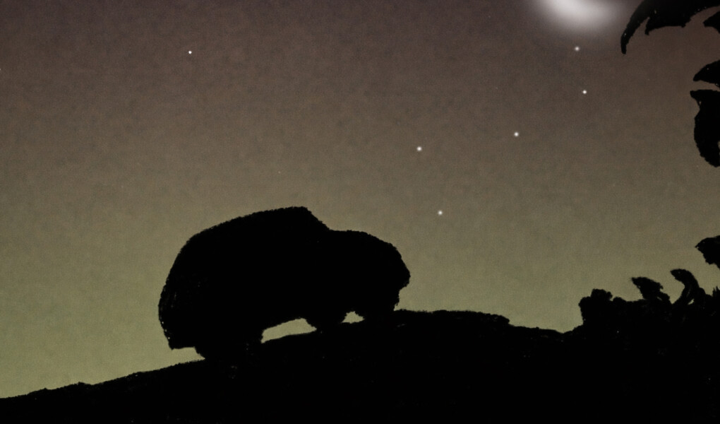 Les vacances des d’jeunes : S2 E7 – Mauvaise réservation