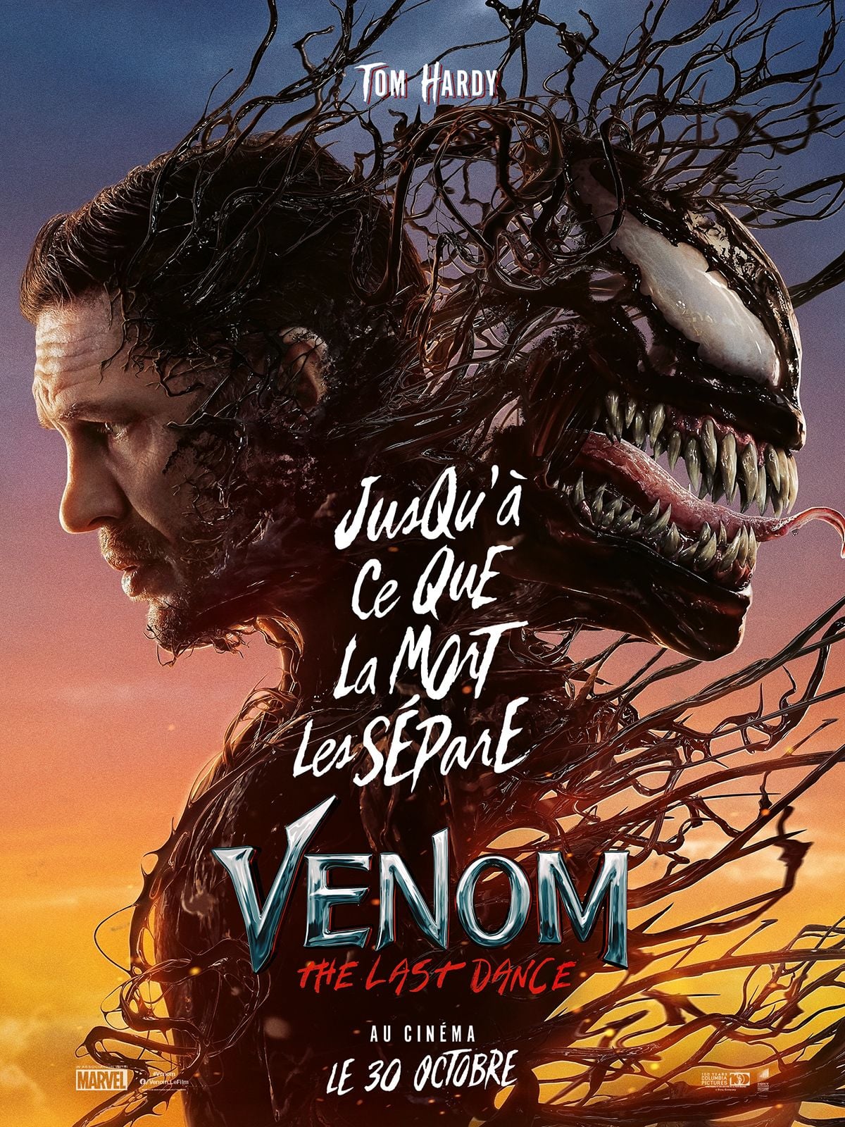 Affiche de Venom: The Last Dance