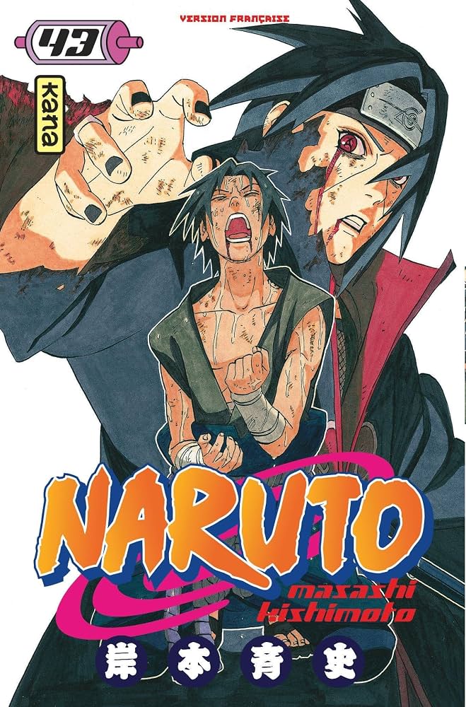 Couverture de Naruto 43