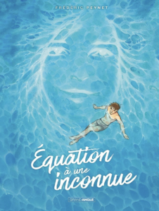 Equation à une inconnue - histoire complète