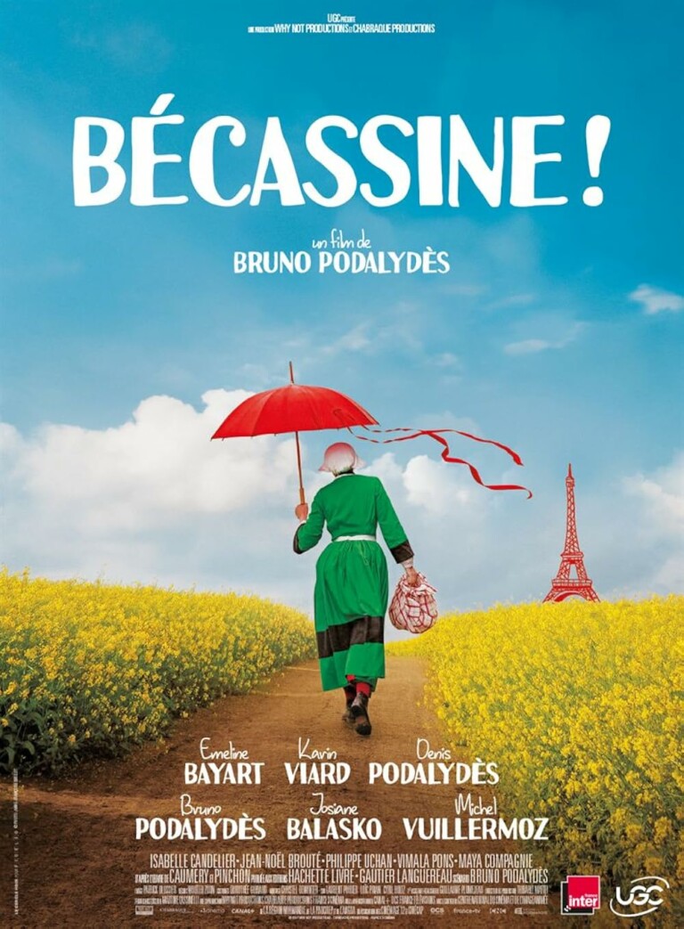 Affiche de Bécassine !