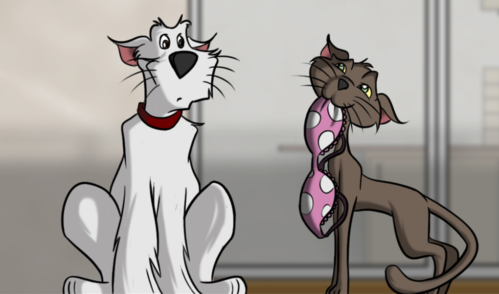 Animaux & compagnie S2 E4 : Pas de plan sans imprévu