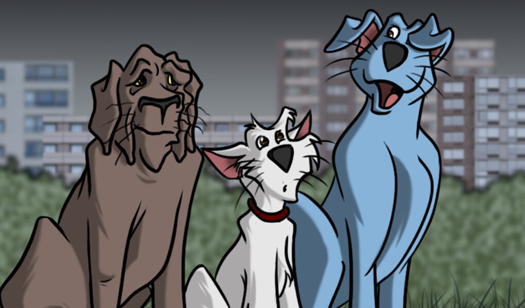 Animaux & compagnie S2 E9 : Un voisinage solidaire