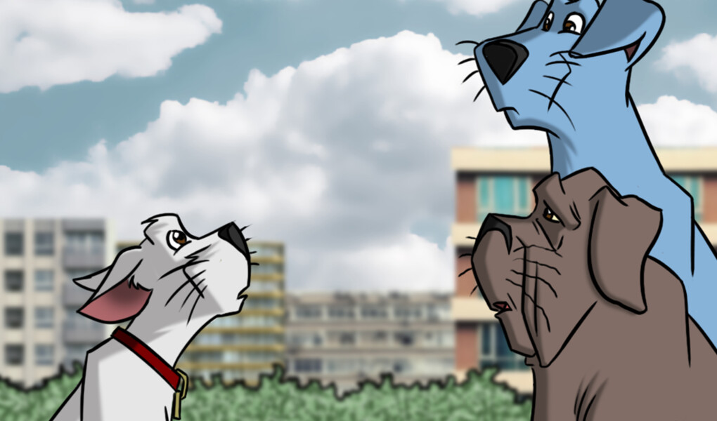 Animaux & compagnie S3 E3 : Un ami ne s’abandonne pas