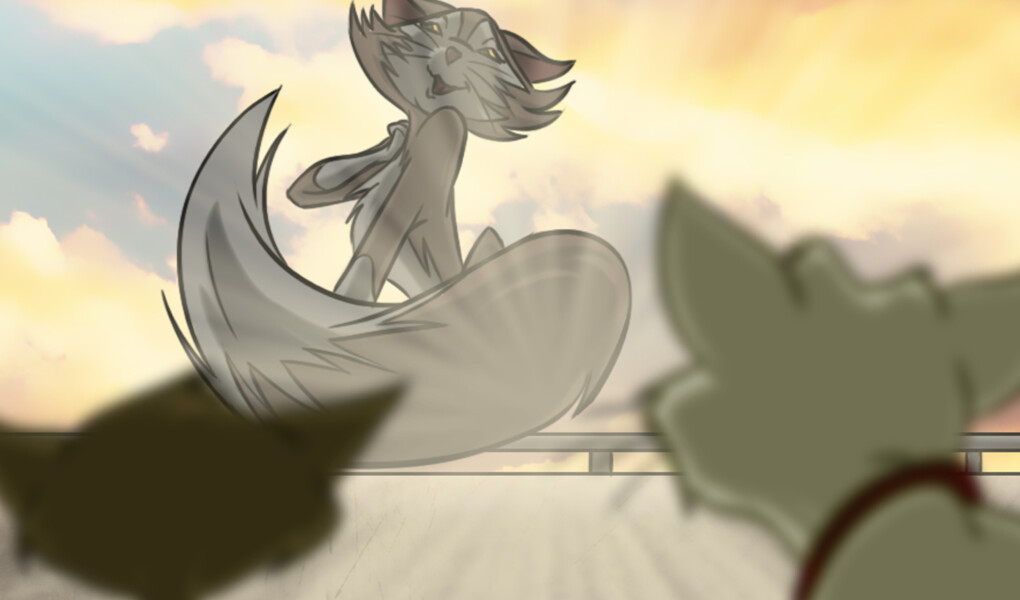 Animaux & compagnie S1 E5 : Ode à la misanthropie féline